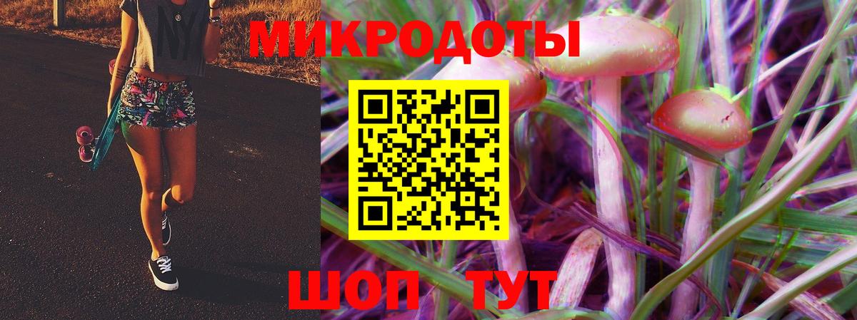 Кингисепп  Галлюциногенные грибы MAGIC MUSHROOMS  Вход с VPN  Галлюциногенные грибы прущие грибы 